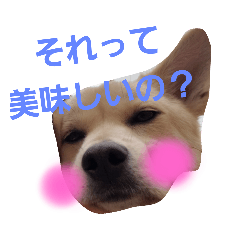 marina_20200423155557