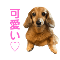 marina_20200424104218