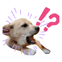 marina_20200423172405