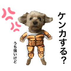 モモちゃんと申す