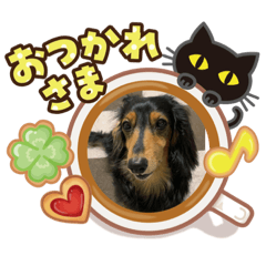 MATSU_20200423194842