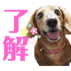 marina_20200423201524