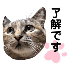 matsu_20200423210705