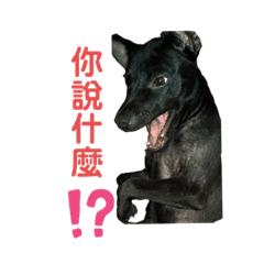 阿弟 生活用語2