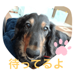 risa_20200423184720