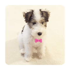 Arisa_20200423175555