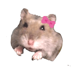 yukari_20200423175204