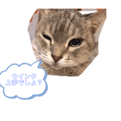CHIMASA