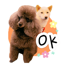 張拉拉日常篇