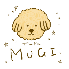 Poodle mame is Mugi