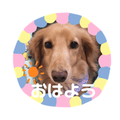 cutie sweetie Luck !!