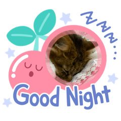 ねむねむにゃんこのLINE スタンプ・絵文字一覧 | LINE STORE