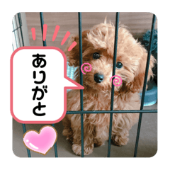 emitamama071810010920_20200424124219