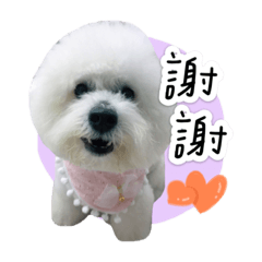 暴力妹妹（菜包）