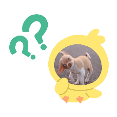 Bella_20200419131818