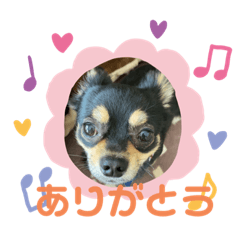 haru20200424