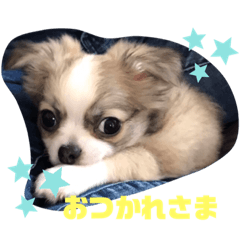 Risa_20200424161845