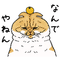 STRANGE WORLD OF CATS -Kansai dialect-