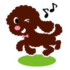 A lovely toy poodle(red)
