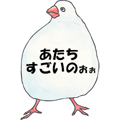 50 文鳥 言葉 最高の花の画像 50 文鳥 言葉 最高の花の画像