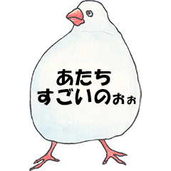 50 文鳥 言葉 最高の花の画像