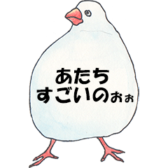 Lord Java sparrow's heavenly words.