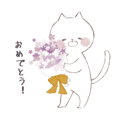 White cat and white bear