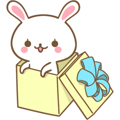 Rabbit Wonderland box