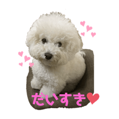 omochi_20200424174335