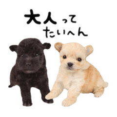 guritarou_and_tensuke