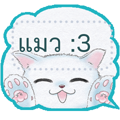 แอนดรูแมว