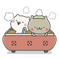 Konjacat