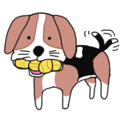 I beagle dogs