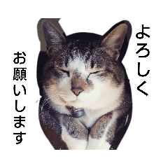 EMILY_20200424223157