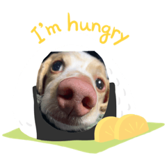 yurina_20200424205133