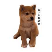 KOROKKE_20200424225855