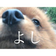 Junko_20200424215845