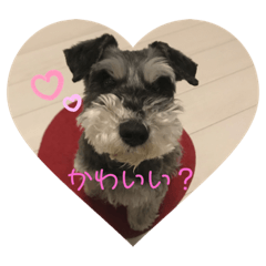 Riho_20200424185116