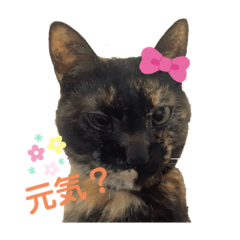 arisa_20200424160319