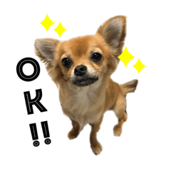 junko_20200424224935