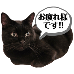 I am Kinta