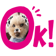 emily_20200425021848