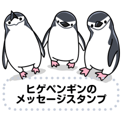 Chinstap Penguin message sticker