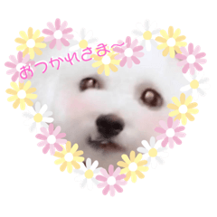 ITSUKI 12345678910