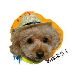 COCOA_20200425091802