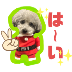 Nanamisyu_202004251026437728016982783038