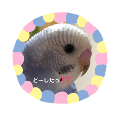 I love bird & tetsuji 2