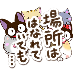 6 cute cats! (Poetry version)