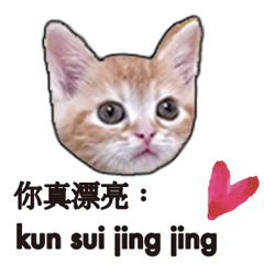 Thai Thailand and Chinese 50