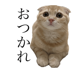 TsubuJam